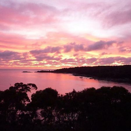 شقة The Loft @ Bay Of Fires Seascape Binalong Bay المظهر الخارجي الصورة