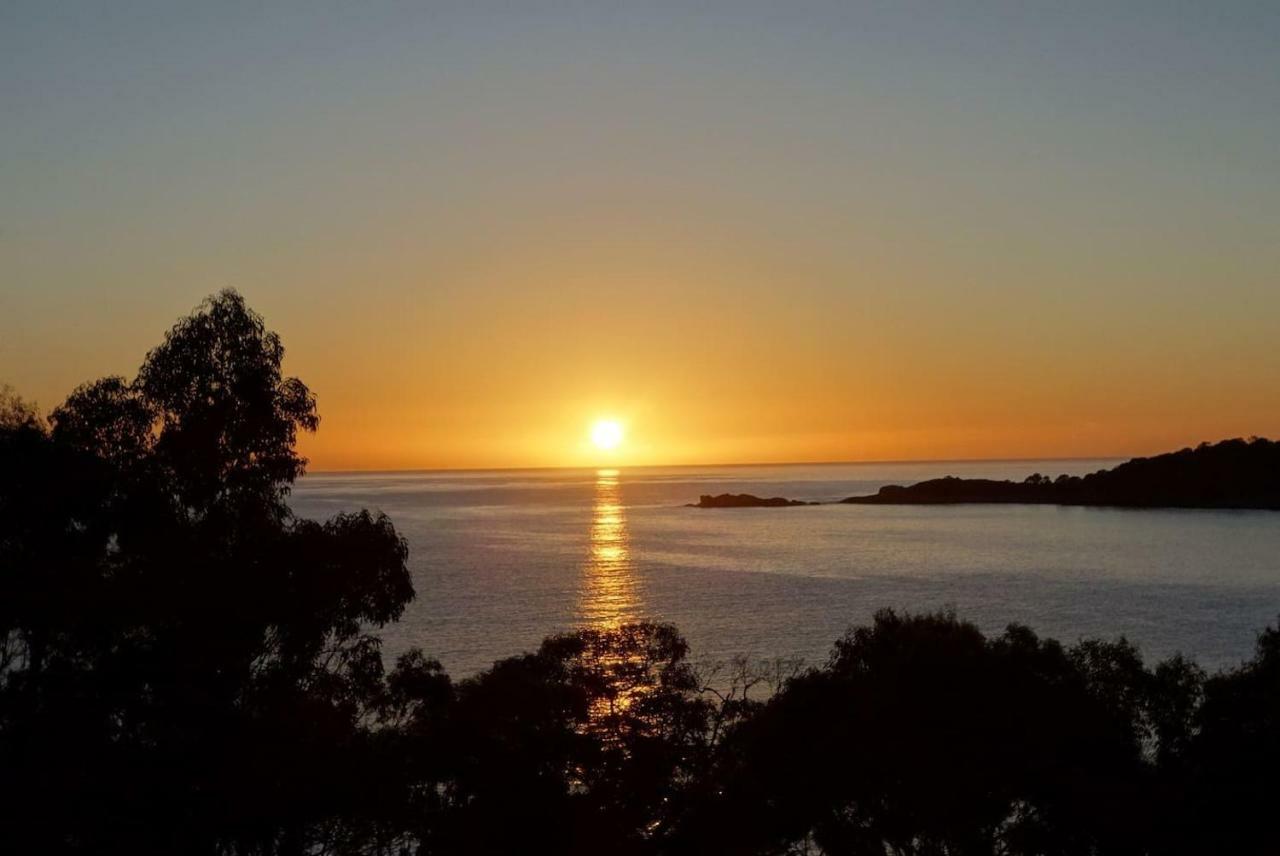 شقة The Loft @ Bay Of Fires Seascape Binalong Bay المظهر الخارجي الصورة