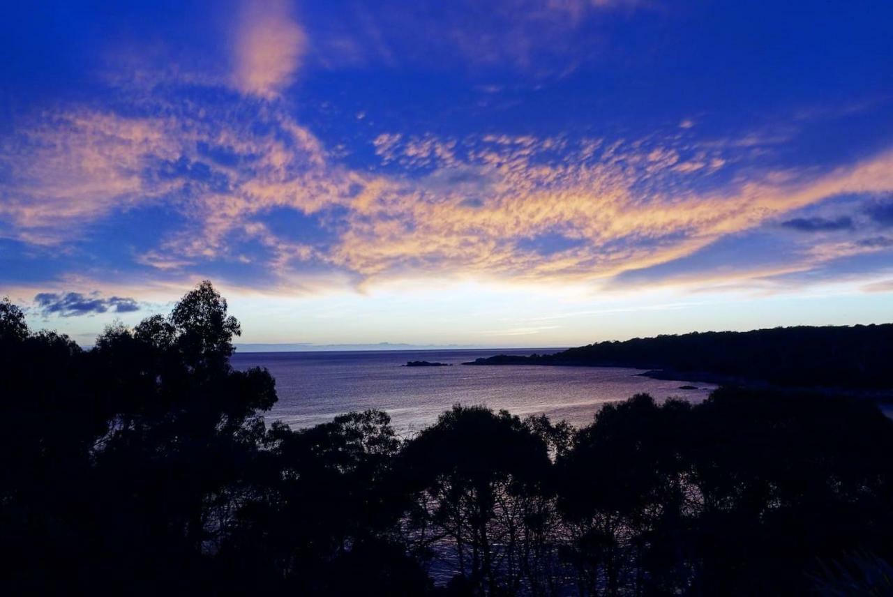 شقة The Loft @ Bay Of Fires Seascape Binalong Bay المظهر الخارجي الصورة