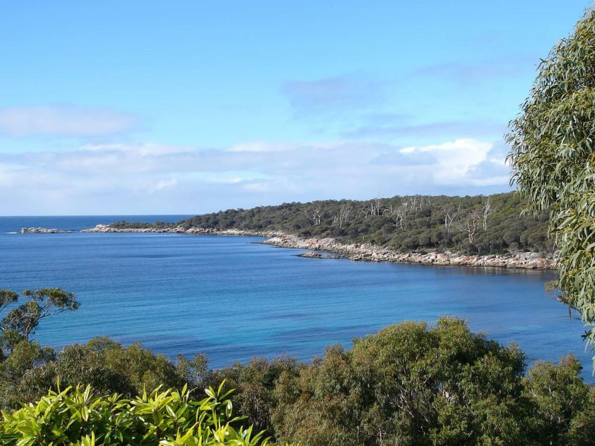 شقة The Loft @ Bay Of Fires Seascape Binalong Bay المظهر الخارجي الصورة