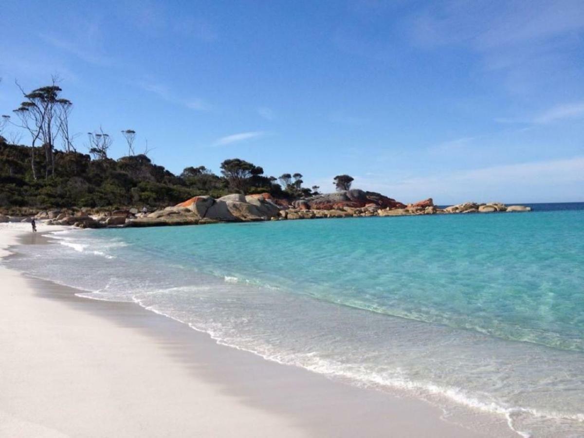 شقة The Loft @ Bay Of Fires Seascape Binalong Bay المظهر الخارجي الصورة