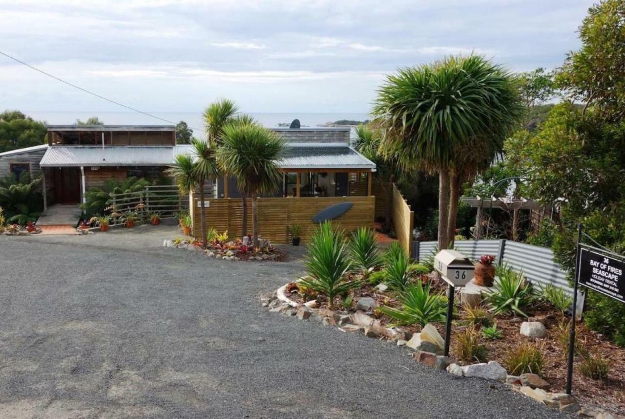 شقة The Loft @ Bay Of Fires Seascape Binalong Bay المظهر الخارجي الصورة