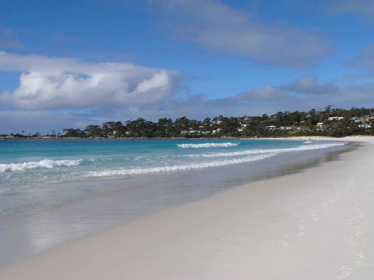شقة The Loft @ Bay Of Fires Seascape Binalong Bay المظهر الخارجي الصورة